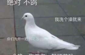 鸽子的反义词是知更鸟是啥意思怎么火起来的有什么来由？