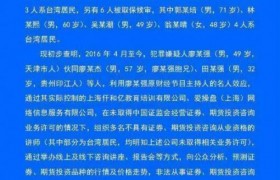 原财经主持人被拘是犯了什么罪？说的是哪个电视台的财经主持人