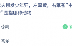 “老夫聊发少年狂，左牵黄，右擎苍”中,“苍”是指哪种动物？答案