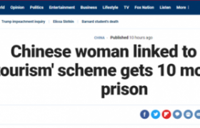 经营赴美生子获刑事件新闻始末是怎么回事？
