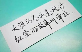 8个字让别人关注你，一发就会被秒赞的句子