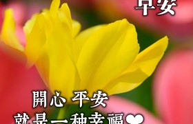 20212020特别漂亮的早上好图片，新早上好漂亮图片大全