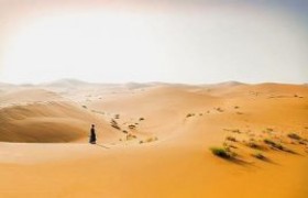 形容埋头读书的词语成语句子有哪些？