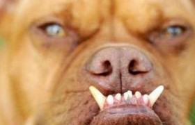 可以让人笑到肚子痛的笑话句子大全，笑破你肚子的笑话30个