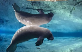 抖音上nanananana的歌曲名称叫什么？（附歌词中英文对照）