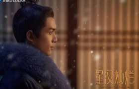 《星汉灿烂》凌不疑是怎么复仇的？最后成功了吗?