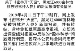黑龙江省尚志市帽儿山镇六千亩密林疑被毁种人参是真的吗咋回事？