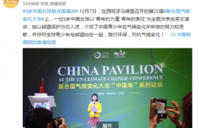 中国女孩联合国演讲是谁，9岁女孩是谁为何能去联合国演讲