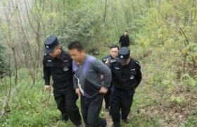 杀人焚尸案嫌犯死刑，男子撞伤老太假装送医杀人焚尸案最新进展