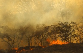 凉山冕宁发生火灾严重吗起火原因是啥最新情况有多少消防员去灭火