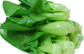吃剩的蔬菜烂的蔬菜属于什么垃圾怎么分类，是干垃圾还是湿垃圾