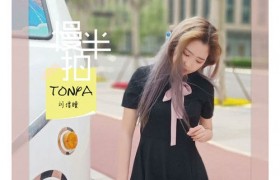 抖音歌曲歌词盲目同情自己没被你放在眼中叫什么歌名原唱是谁？