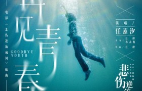 抖音歌曲歌词再见青春再见美丽的疼痛什么歌曲是谁唱的