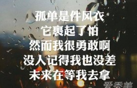 抖音歌曲歌词大意叫我别烦心那些痛与怕是叫什么歌名谁唱的