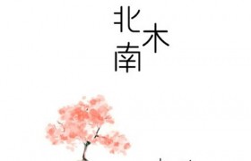 抖音歌曲歌词北方的木南方的树酒里都是他的糊涂什么歌名哪下载