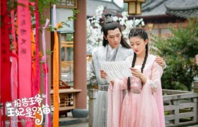 报告王爷王妃是只猫什么时候播出故事剧情梗概见什么的主演是谁？