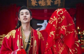 一夜新娘男主扮演者袁昊年龄多少岁哪个学校毕业的演过哪些电视剧