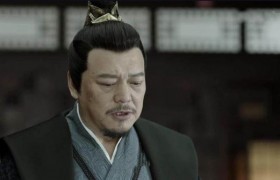 庆余年林婉儿的父亲林若甫一共有几个孩子，林若甫长公主好过吗