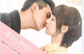 《亲爱的，热爱的》是哪个部小说改编的播出更新时间和平台是哪个