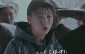 兰桐花开孙桐花扮演者是哪个女演员叫什么名字，闫学晶主演的电视剧