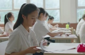 电视剧小欢喜是根据哪部原著小说改编的，各个人物结局如何