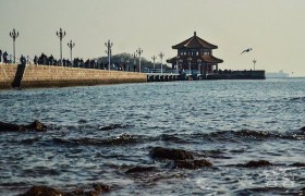 亲眼所见打生桩是怎样打的用意是什么，古代打生桩是什么样的