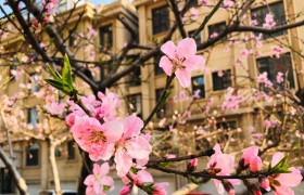 中秋节是回娘家过还是回婆家过好，各地的风俗是怎样的？