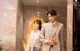 《约定期间爱上你》改编自哪部小说，大结局男女主角的命运如何