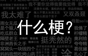 找个厂子上班吧找个工地搬砖吧是什么意思什么梗啥出处