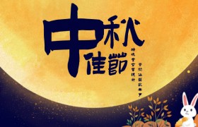 远嫁他乡七八年对老公失望透底对婚姻无望该离婚吗