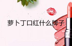 萝卜丁口红什么牌子属于什么档次是哪里产的价格多少钱