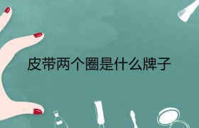 两个圈的皮带是什么牌子是什么档次的品牌大概多少钱哪国生产的