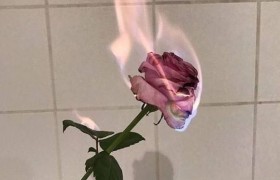 痛到心滴血的句子大全，痛到骨子里心碎的句子有哪些