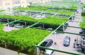 怎样查车辆有没有过户成功具体步骤流程是怎样的