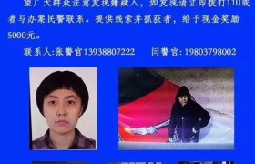 女子戴岳云鹏面具抢劫案件是怎么回事？最新进展动态嫌疑人被抓了