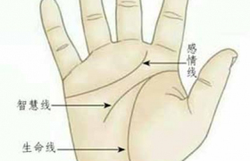 掌纹图解女右手详解是怎么看？女人右手掌纹图解算命靠谱吗