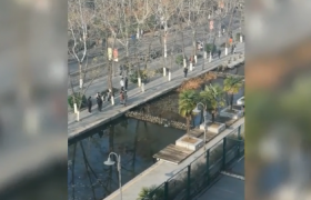 南京全城鸣笛致哀是怎么回事是什么日子？12月13日是公祭日吗