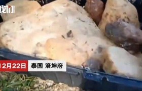 捡石头价值近百万是怎么回事？什么样的石头值钱？