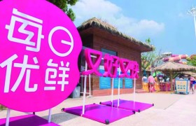 生鲜电商倒闭潮是怎么回事？易果生鲜安鲜达每日优鲜怎么样？