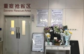 杀医嫌犯系无业人员是怎么回事？凶手为什么要杀医生
