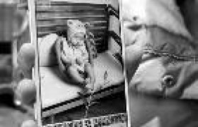 女婴做推拿后身亡是怎么回事因为什么去世？婴儿适合做推拿吗