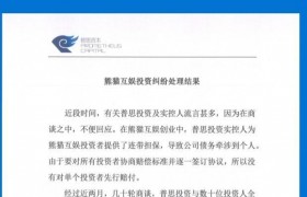 王思聪承担20亿损失是怎么回事？王思聪是败家仔吗