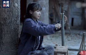 白岩松评李子柒说了什么，为什么这么多人喜欢李子柒
