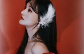 郑爽联合国发言说了什么，郑爽为什么去联合国发言