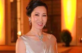 林宁18家公司注销是怎么回事？王思聪母亲林宁为王思聪还款真的吗