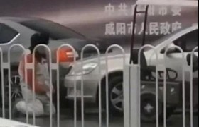 收费员向车主下跪是怎么回事真相是怎样的后来怎么处理？