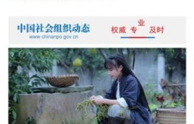 李子柒成致富榜样是怎么回事？李子柒可以复制成功案例吗