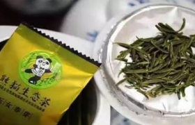 熊猫茶是什么茶和普通茶有什么区别哪里产的哪个公司抗癌是真的假的、