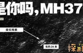 马航唯一幸存者刘海波是真的假的是怎么回事是不是未登机?