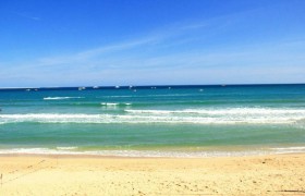 海王是什么意思别人叫我海王什么意思，海王的一般特征是什么？
